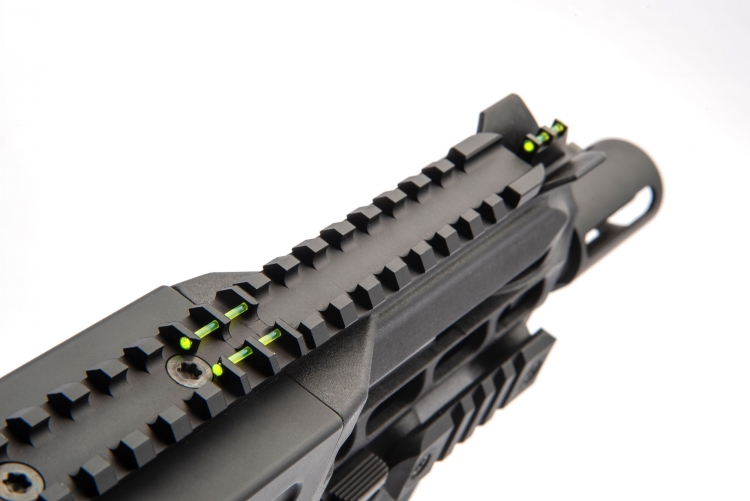 The Chiappa CBR-9 Black Rhino comes equipped with a basic set of fiber optics sights