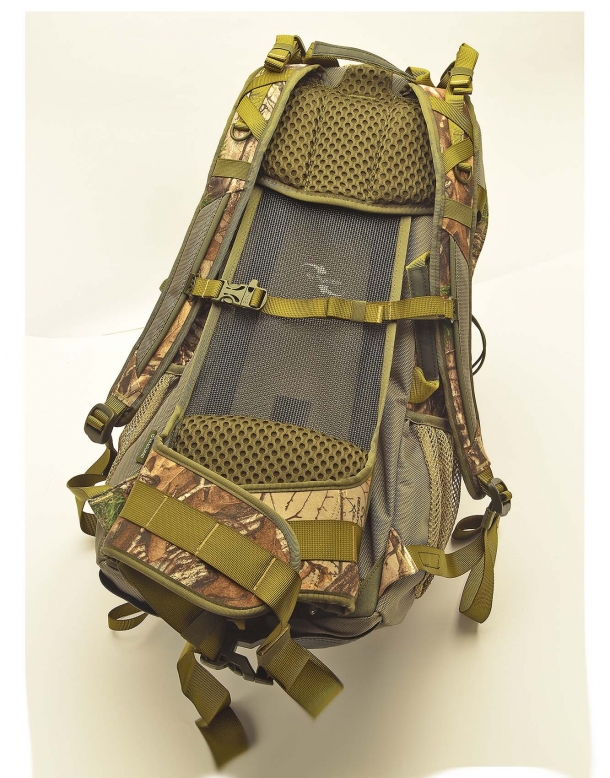 Rear view of the backpack