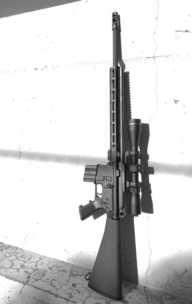 Bushmaster 450: torna l'AR-15 di grosso calibro