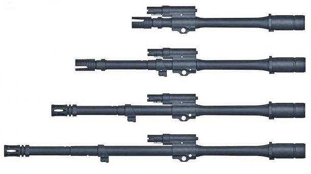 Il fucile d'assalto HK433 può cambiare rapidamente canna per adattarsi a ogni situazione